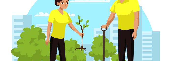 Man and woman planting trees in urban centre