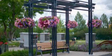 Photo of the Okotoks cemetary