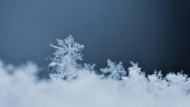 snowflake-macro-photo-real-snow-crystal-beautiful-winter-background