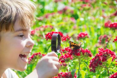 child looking through magnifying glass at butterfly sitting on a pink flower