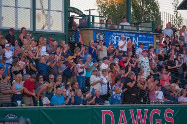 Fans at Seaman Stadium cheer during a concert 