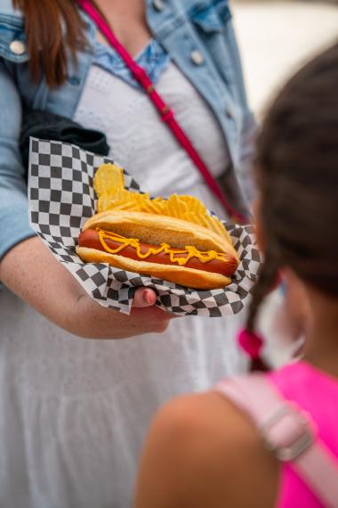a hotdog in a hand